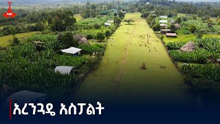 አረንጓዴ አስፓልት Etv  Ethiopia  News zena [upl. by Suirtemid]