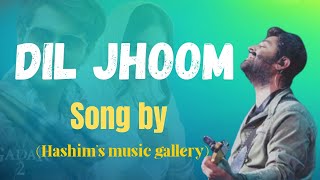 Dil jhoom  Arijit Singh song dil jhoom by Hashims music gallery  Gadar 2 [upl. by Eissat442]