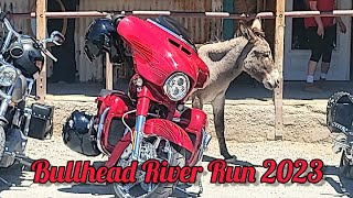 Bullhead River Run Laughlin River Run 2023 HarleyDavidson Motorcycles Bikers Invade Oatman Arizona [upl. by Adrien]