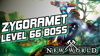 LEVEL 66 BOSS  ZYGORAMET  NEW WORLD [upl. by Ytinav131]