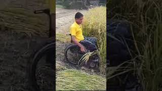 On the wheelchair doing farming cutting indian up pune love usa kerala tamil maharashtra [upl. by Yuji]