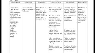 Nursing Care Plans [upl. by Siravart]