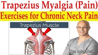 Trapezius Myalgia Caused From Forward Head Posture Best Corrective Exercises  Dr Mandell DC [upl. by Oijile840]