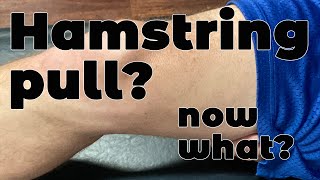 What to do and not about a Hamstring pull [upl. by Hailahk]