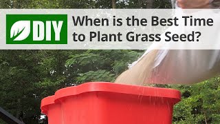 What is the Best Time to Plant Grass Seed  Fall Lawn Tips  DoMyOwncom [upl. by Harehs]