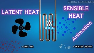 Latent Heat and Sensible Heat Explained  Humidity  Animation  hvac hvacsystem hvacmaintenance [upl. by Phalan]