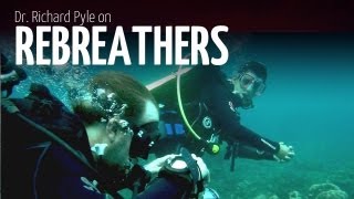 Richard Pyle on Rebreathers at Cocos Island [upl. by Ashmead]