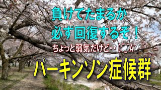 Vol1【勇気をもって告白】私はパーキンソン症候群 ムクナ豆の使用感 第一弾 どんな病気 治療の方向性 医療の実際 Parkinsons disease VOI1 目指せ回復 レボドパ iPS [upl. by Terrie]