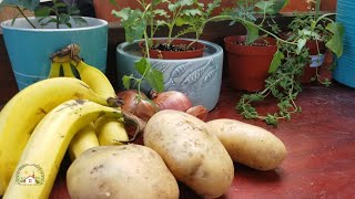 FERTILIZANTE PARA QUE TUS PLANTAS DEN FLORES Y FRUTOS [upl. by Emirej]