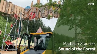 Sound of the forest Festival gestartet [upl. by Naimaj]