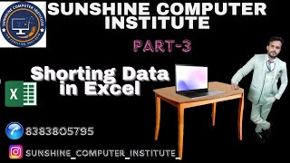 Sort Data in Excel  Data Sorting in MS Excel  Excel Tutorial [upl. by Nylaj338]