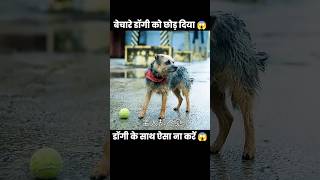 अपने पालतु डॉग के साथ ऐसा कभी ना करें 😱  short dog movie anime cartoon [upl. by Eanad]