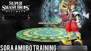 Sora Amiibo Training  Super Smash Bros Ultimate [upl. by Agneta]