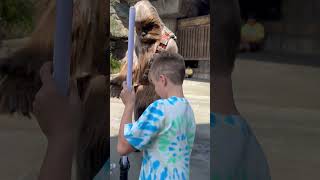 Meeting Chewbacca In Disneyland [upl. by Oregolac]