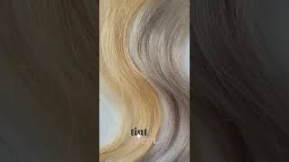 Wella T18 Lightest Ash Blonde Toner Before and After  how to remove yellow brassy tones at home [upl. by Nirual]