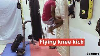 Flying knee kicks [upl. by Domingo164]