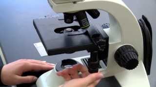 BIOLOGY 10  Basic Microscope Setup and Use [upl. by Kopple]