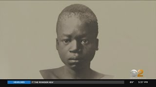 WCS Apologizes For Putting African Man On Display In Bronx Zoos Monkey House In 1906 [upl. by Ainak]