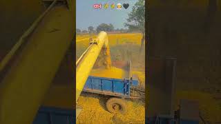 PREET combined harvester lover support Karenviralvideo vidio combine lover harvestar lover 🌾👳🖤 [upl. by Aruasor]