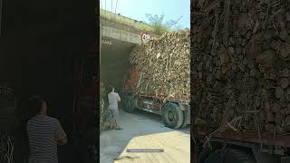 Process Of The Truck Loaded With Wood Passing Through The Bridge Opening [upl. by Kcered]