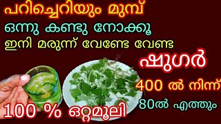 വെറുതെ പിഴുതുകളയല്ലേ ഇനി മരുന്നു കഴിക്കേണ്ട ഷുഗർകൊളസ്ട്രോൾബിപിയൂറിക് ആസിഡ് അടുക്കില്ല 100 Useful [upl. by Corri392]