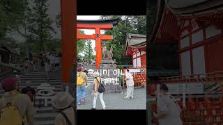 Fushimi Inari Shrine in Kyoto교토 후시미 이나리신사 [upl. by Hiett]