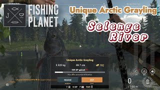 Unique Artic Grayling Selenge River  Fishing Planet [upl. by Ecnaret]