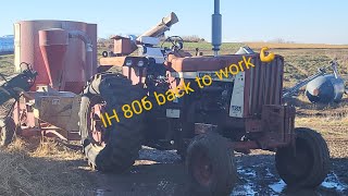 IH 806 back in service hauling manure and grinding corn [upl. by Plante]