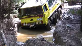 Pinzgauer on the 1000 Track Tasmania [upl. by Animor]