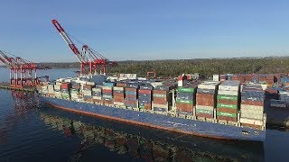 Aerial Video  Large Container Ship APL DANUBE Docked at Halterm  Port of Halifax [upl. by Sabec]