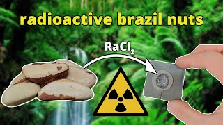 Radium from Brazil Nuts  nuclear chemistry [upl. by Inhsor]