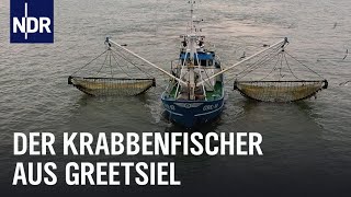 Knochenjob auf dem Krabbenkutter  Die Nordreportage  NDR Doku [upl. by Nhojleahcim]