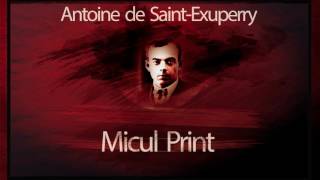 Micul print 2015  Antoine de SaintExupery teatruaudio teatruradiofonic teatruonline teatru [upl. by Landon]