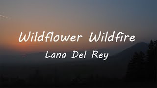 Lana Del Rey  Wildflower Wildfire Lyrics [upl. by Baggs]