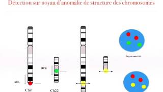 les techniques de cytogénétique partie 5 [upl. by Atirabrab]