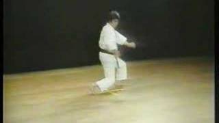 Enpi  Shotokan Karate [upl. by Allsun]