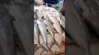 Fish market in Kuwait 🐠 trending youtubeshorts shortvideo zasfishminivlog youtuber zasvlogs [upl. by Malha841]