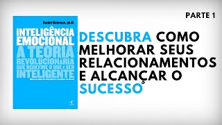 Inteligência Emocional  Daniel Goleman  Parte 1  Audiobook  UM EU MELHOR [upl. by Nivra]