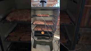 New Louisiana Grills LGV4BL First use [upl. by Mars]