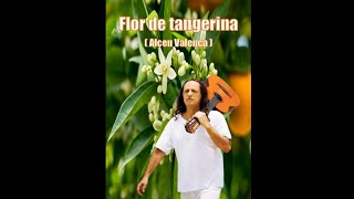 Flor de tangerina Alceu Valença  Violão [upl. by Ck804]