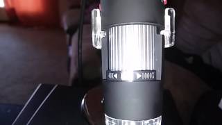 Jiusion DIgital Microscope Review [upl. by Annawahs]