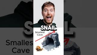 🐌 vs 🐆 – Epic Cave Race Who Wins [upl. by Atteyek296]