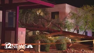 Residents rescued after tree falls into Scottsdale apartment complex [upl. by Gniy]