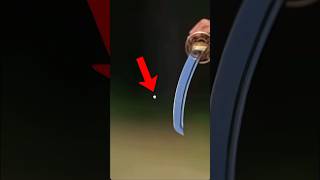 Katana Vs Bullet in Hindi MrBeast Karangaming007b2v [upl. by Iatnwahs]