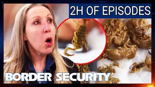 6 Episode Border Security Marathon  Australia Season 10  Full Episodes Compilation [upl. by Arac]