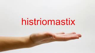 How to Pronounce histriomastix  American English [upl. by Corwun]