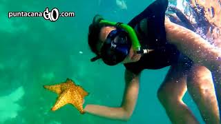 BOOK NOW Excursion a Isla Saona desde Punta Cana [upl. by Harilda804]