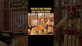 HARIMAU INI NGAMUK DI PAKSA MELAWAN SAUDARA NYA SENDIRI alurceritaflim film [upl. by Betthel372]