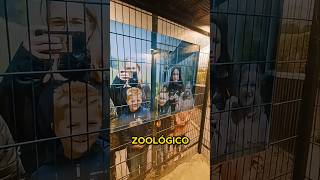 ZOOLÓGICO HUMANO [upl. by Salocin]