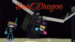 Beat EnderDragon in Server [upl. by Brittain]